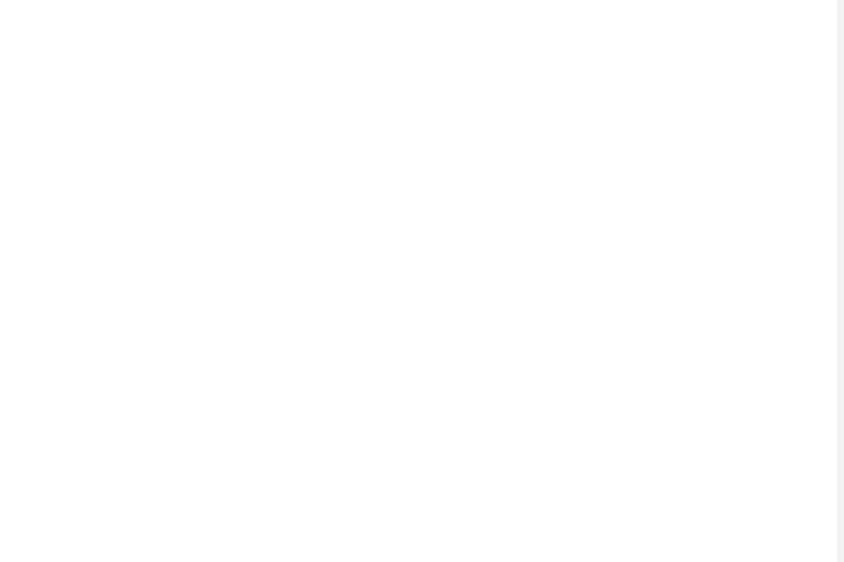 Stawki stypendiów w roku akademickim 2024/2025